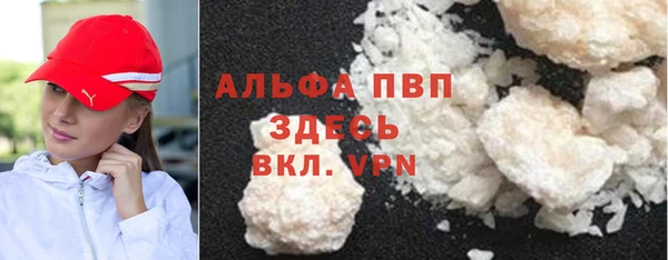 СК Алексин