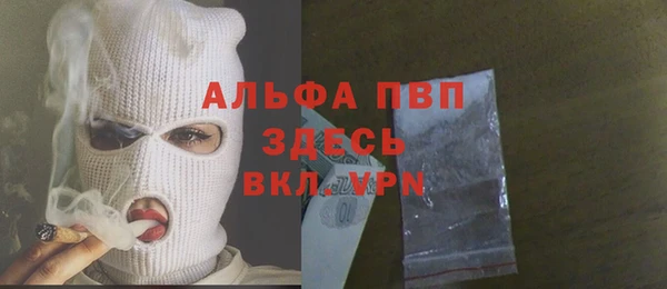 СК Алексин