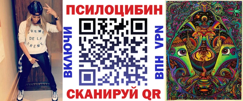 Галлюциногенные грибы Psilocybe Ачхой-Мартан