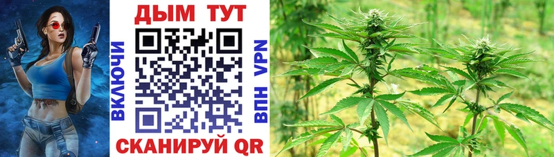 Шишки марихуана OG Kush  Ачхой-Мартан 